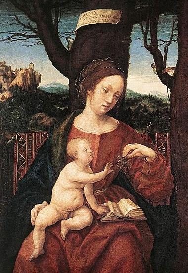 HERRERA, Francisco de, the Elder Madonna with Grape oil painting picture